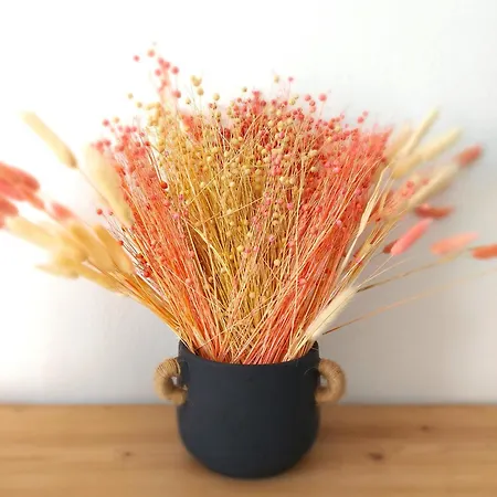 Roys Blu Apartament Kávos